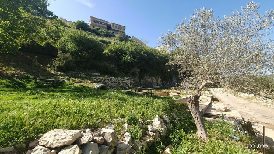 עין גרנה בפתח בית ג'אן